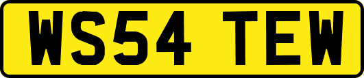 WS54TEW