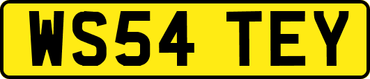 WS54TEY
