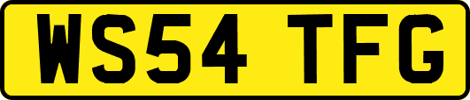 WS54TFG