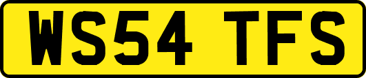 WS54TFS