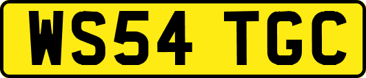 WS54TGC