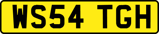 WS54TGH