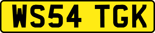 WS54TGK