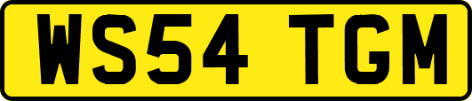 WS54TGM