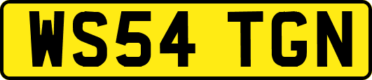 WS54TGN