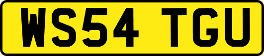 WS54TGU