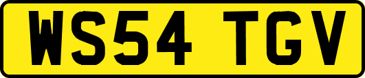 WS54TGV