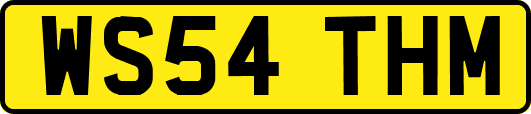 WS54THM