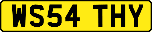 WS54THY