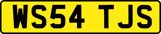 WS54TJS