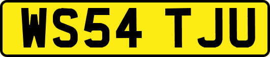 WS54TJU