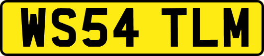 WS54TLM