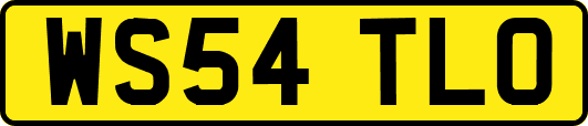WS54TLO