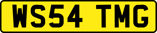 WS54TMG
