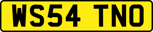 WS54TNO