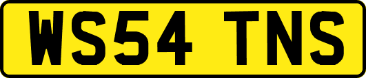 WS54TNS