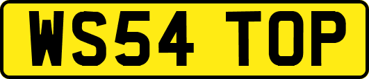 WS54TOP