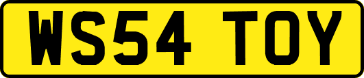 WS54TOY