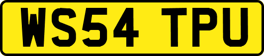 WS54TPU