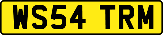 WS54TRM