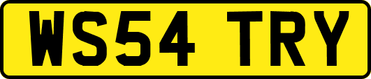 WS54TRY
