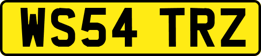 WS54TRZ