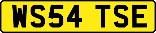 WS54TSE