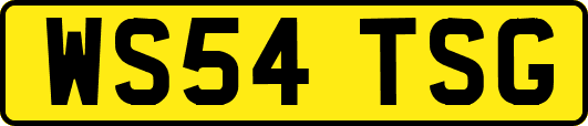 WS54TSG