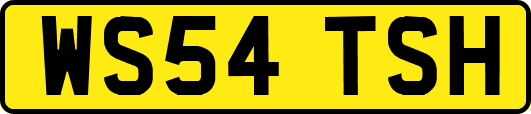 WS54TSH