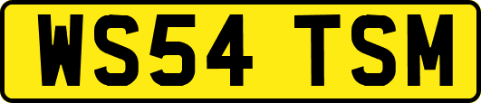 WS54TSM