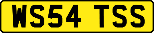 WS54TSS