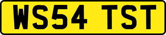 WS54TST
