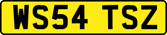 WS54TSZ