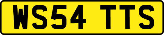 WS54TTS