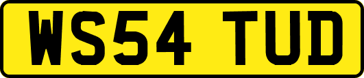 WS54TUD