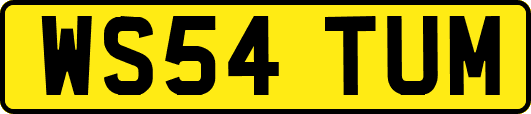 WS54TUM