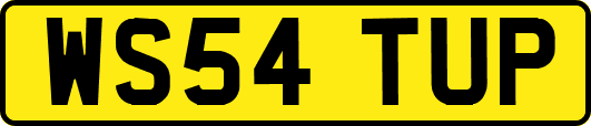 WS54TUP