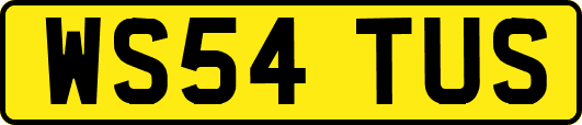 WS54TUS