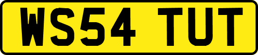 WS54TUT
