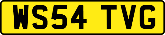 WS54TVG