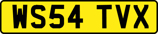 WS54TVX
