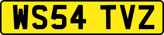 WS54TVZ