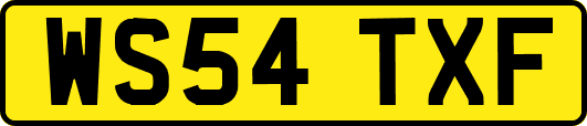WS54TXF