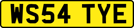 WS54TYE