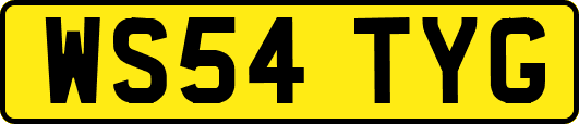 WS54TYG