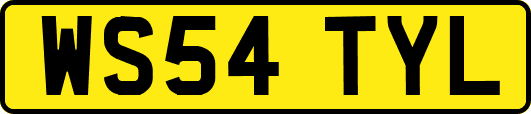 WS54TYL