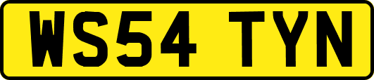 WS54TYN