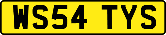 WS54TYS