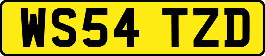 WS54TZD
