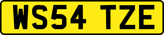 WS54TZE